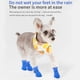 thumbnail image 5 of Funda De Silicona Para Zapatos De Mascotas, Impermeable, Suela Blanda, Antideslizante, Botas Para Mascotas, Protector De Patas Para Gatos Y Perros Noticed PT002312-04, 5 of 6