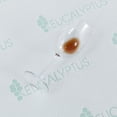 thumbnail image 5 of Bibb Home Eucalyptus Infused Scented Waterproof Mattress Pad, 5 of 7