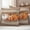 Brown, variant on Fall Pumpkin Outdoor Waterproof Pillow Covers, Thanksgiving Autumn Leaves Floral Decorative Square Throw Pillowcase Sofa Cushion Sham for Patio/Couch/Chair, 24"x24" 2 Pack