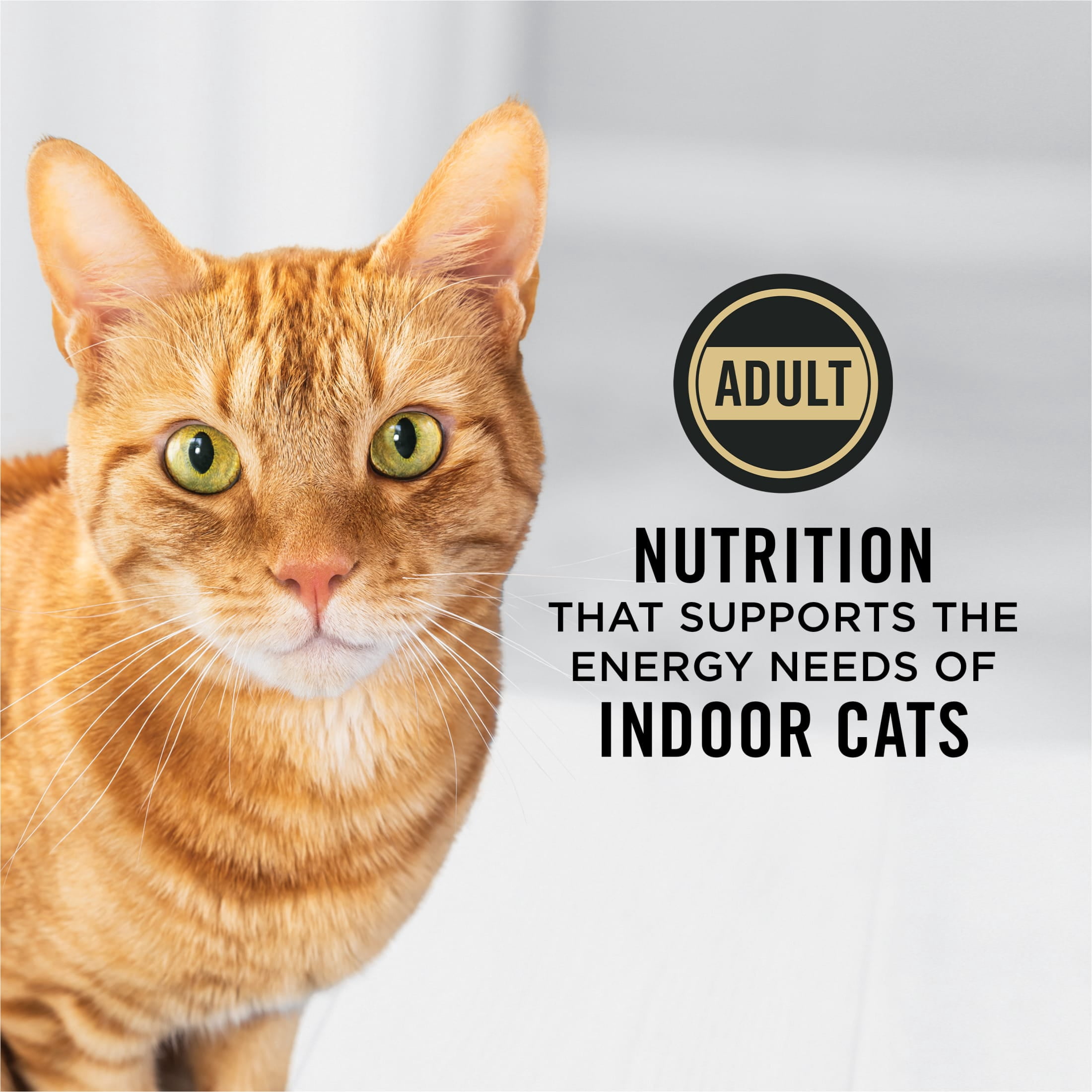 Purina Pro Plan Hairball, Indoor Dry Cat Food, Salmon & Rice, 7 lb Bag