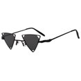 thumbnail image 1 of Triangle Sunglasses - Black Frame / Smoke Lens, 1 of 3