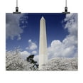 thumbnail image 2 of Print: Washington Monument And Cherry Trees, Washington, D.C., 2007, 2 of 4