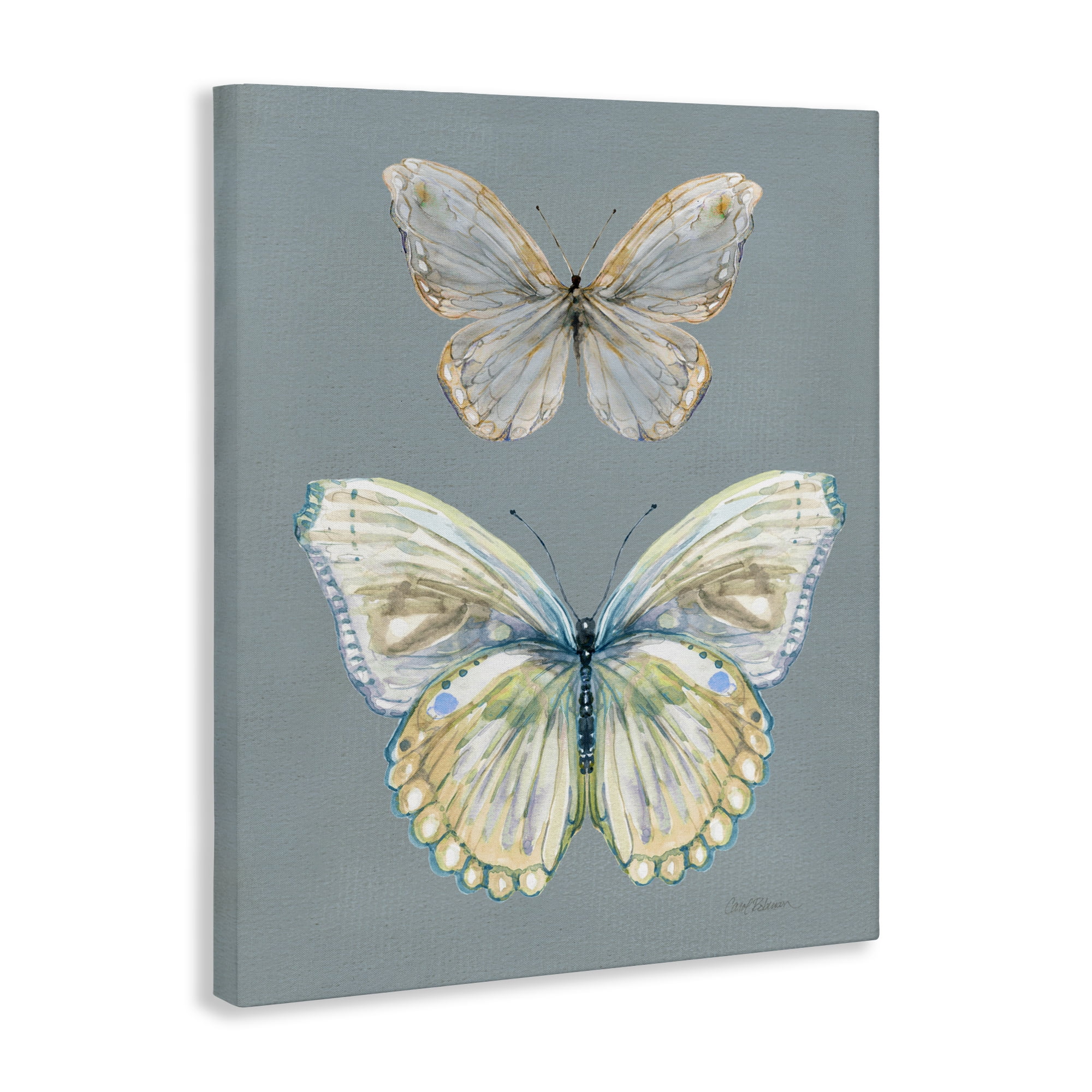 Stupell Industries Butterfly Pair Study Canvas Wall Art, design by Carol Robinson