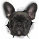 thumbnail image 1 of Pegatinas De Pared De Perro 3d - Paquete De 2 - Pegatinas Decorativas Divertidas - Calcomanías De Perro Bulldog Francés Negro Para Pared - Nevera - Baño - Habitación - Coche - Nevera, 1 of 5