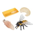 thumbnail image 4 of 2- 4 piezas de figuras de plástico surtidas modelo educativo para 2 piezas perfke Juego de crecimiento de insectos para niños, 4 of 7