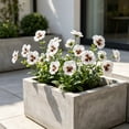thumbnail image 4 of Artificial Pansy Flowers Fake Silk Bouquet for Wedding Home Decor, Lifelike Floral Arrangement in 3 Colors, UV Resistant Faux Plant, 14.6 Inch, 4 of 6