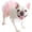 Pink, variant on HQREA Dog Tutu Dress for French Bulldog Summer Princess Tulle Dress for Pug Corgi Vest Skirt Mesh Puppy Clothes Girls