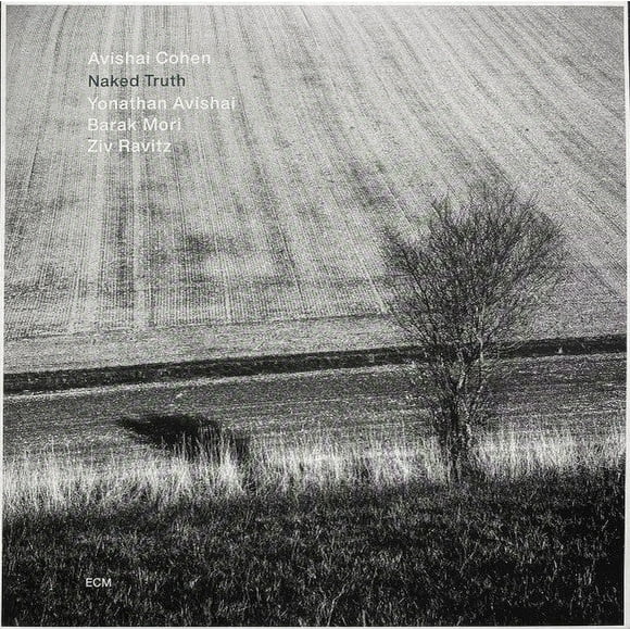 , Vishai NAKED TRUTH (LP)