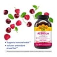 thumbnail image 2 of Obleas masticables con vitamina C Country Life Acerola 500 mg 90 unidades, 2 of 5