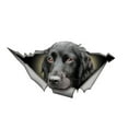 thumbnail image 2 of Calcomanía para Mascota BuyWeek 3D Perro, 2 of 10