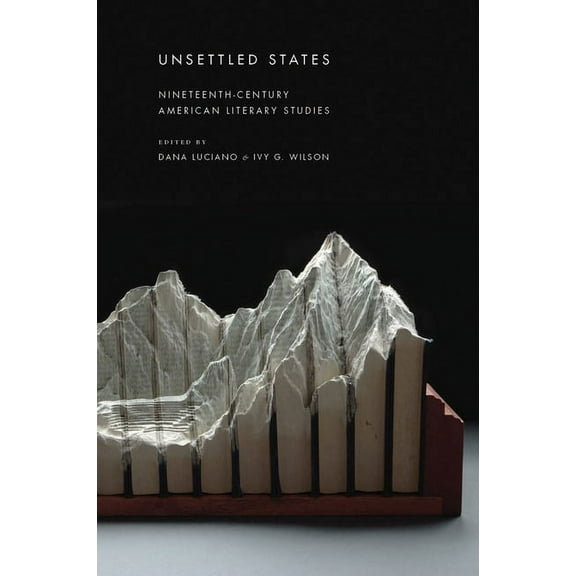 America and the Long 19th Century Unsettled States: Nineteenth-Century American Literary Studies, Book 13, (Hardcover)