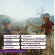 thumbnail image 4 of Tailwind Nutrition Recovery Mix, Complete Protein, Carbohydrates, and Electrolytes Powder Drink Mix for Post-Workout, Free of Gluten, Soy, and Dairy, Vegan, 15 Servings, Chocolate, 4 of 5