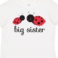 thumbnail image 4 of Inktastic Big Sister Girls Toddler T-Shirt, 4 of 5