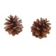 thumbnail image 4 of 5 Piezas De Pino Natural Seca Decoración De Decoración para hogar Particular, 4 of 8