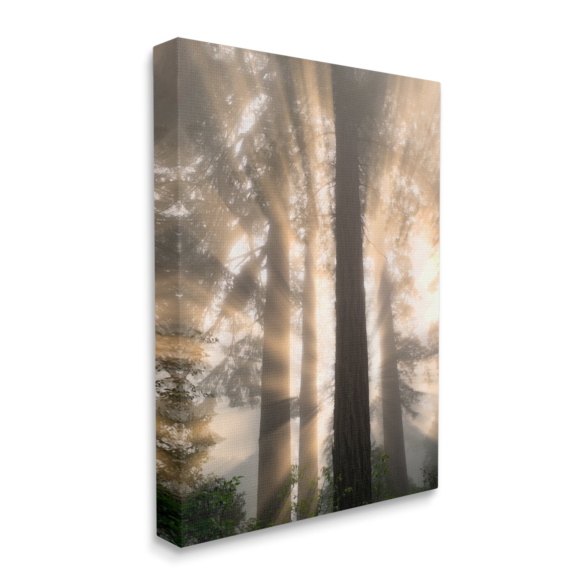 Stupell Industries Sun Rays Woodland Trees View Landscape Photography Gallery Wrapped Canvas Print Wall Art