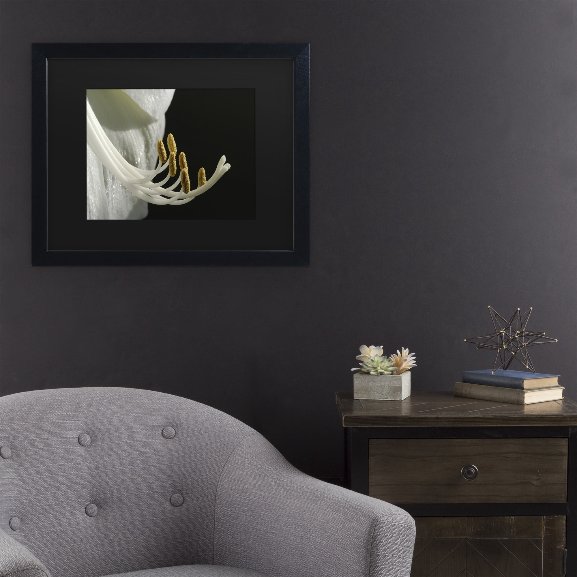 Trademark Fine Art 'Intimate Amaryllis' Canvas Art by Kurt Shaffer