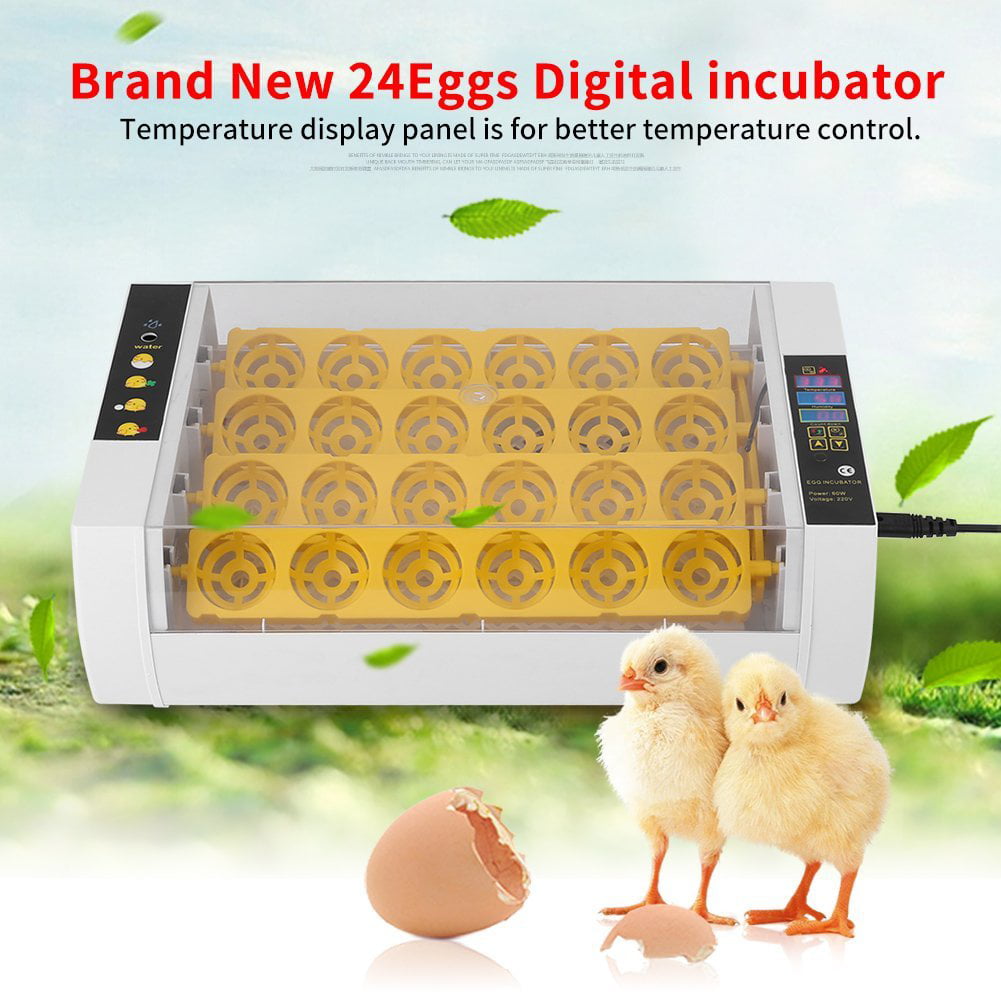 60W Digital Clear 24 Egg Incubator Hatcher Automatic Turning Chicken Temperature 