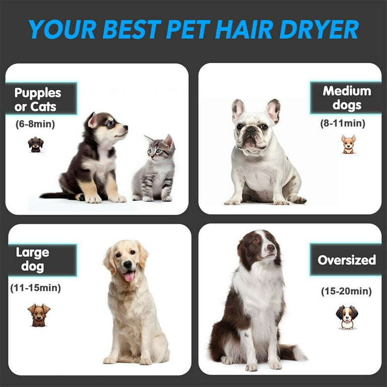 Dog Hair Dryer 5.2HP 3800W High Velocity Pet Blow Dryer with Heater for Grooming Speed Temperature Adjustable Dog Blower Grooming Dryer with 4