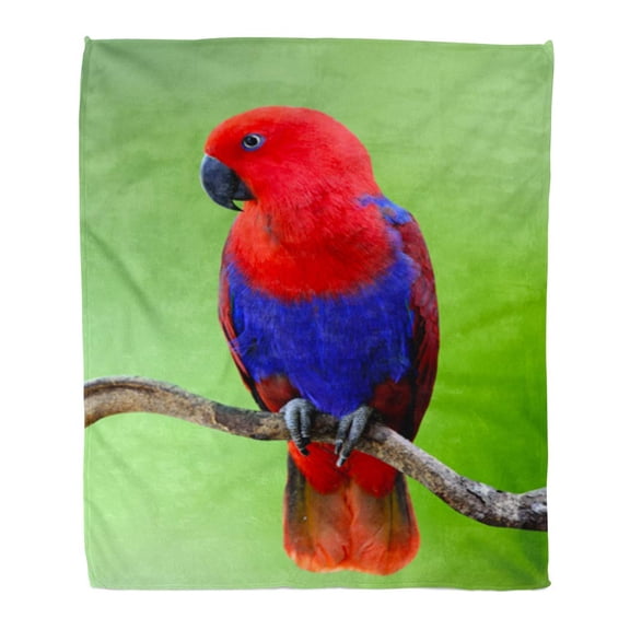 SIDONKU Flannel Throw Blanket Blue Maluku Beautiful Red Eclectus Parrot Perching Branch Over Green Blur Gackground Fascinated Nature Colorful 58x80 Inch Lightweight Cozy Plush Fluffy Warm Fuzzy Soft