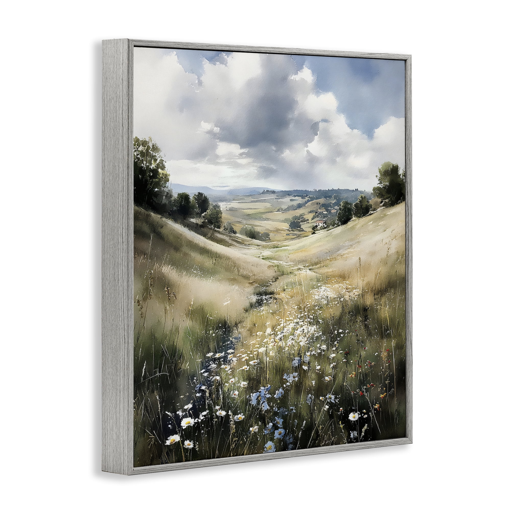 Stupell Industries Floral Valley of Wild Daisies Gray Framed Giclee Art, design by Franklyn Gregory