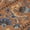 Paprika, variant on Addison Rugs Chantille Indoor/Outdoor Traditional Floral Black Machine Washable Rectangle Rug, 10' x 14'