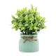 thumbnail image 1 of Pequeñas plantas falsas, plantas artificiales en macetas, mesa decorativa, centro de mesa, adorno de escritorio, plantas de imitación para alféizares Verde, 1 of 10