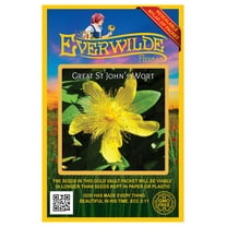 Everwilde Farms - 2000 Great St. John's Wort Native Wildflower Seeds - Gold Vault Seed Packet