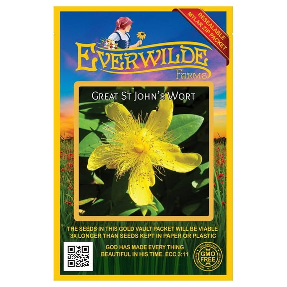 Everwilde Farms - 2000 Great St. John's Wort Native Wildflower Seeds - Gold Vault Seed Packet