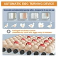 thumbnail image 3 of Hairycotar 36 Egg Incubator with Automatic Egg Turning and Temperature Control, for Hatching Chicken,Quail,Duck Eggs,with Egg Candler, 3 of 12