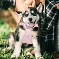 thumbnail image 3 of Heavy Duty No Pull Dog Harness With Padded Vest Reflective Stitching Adjustable Walking Training Gear For Medium Large, 3 of 4