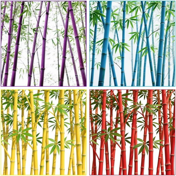 GSDWIUEW 200+ Mix Giant Bamboo Seeds for Planting Outdoors, Privacy Screen Good for Environment Shade-Landscaping -Tolerant Home Decor Landscaping, Fast Growing