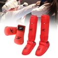 thumbnail image 3 of Lijie Karate Sparring Gear Set Hand Guard Boxing Gloves Shin Guards with Footgear for M, 3 of 6