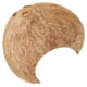 thumbnail image 5 of Escondite de concha de coco, escondite para acuario de reptiles, escondite decorativo para reptiles, refugio para reptiles, 5 of 5