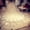 Ivory, variant on EllieWely 1 Tier Chapel Length 3 M(1188 inch) Sequin Lace Wedding Bridal Veil With Metal Comb E63 Ivory