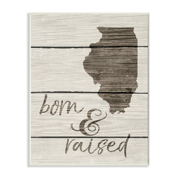 Stupell IndustriesBorn And Raised IllinoisWall Plaqueby Daphne Polselli