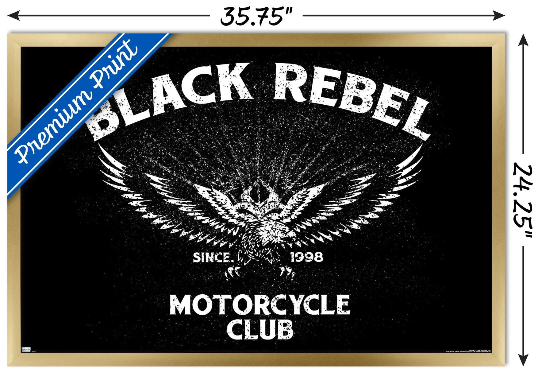 Black Rebel Motorcycle Club - Eagle Wall Poster, 22.375" x 34", Framed