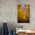 thumbnail image 3 of Epic Graffiti 'Way to Fall' by Philippe Sainte-Laudy, Canvas Wall Art, 26"x40", 3 of 8