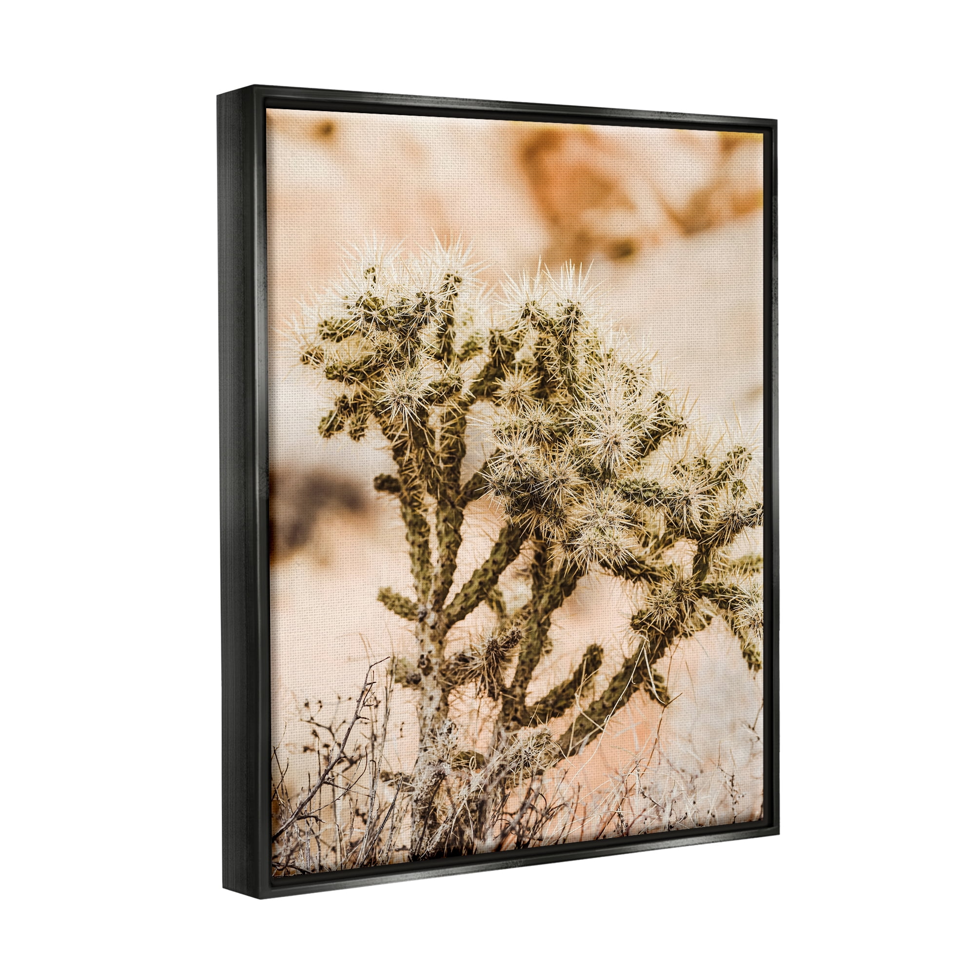 Stupell Arid Cactus Desert Plant Photography Landscape Photography Black Floater Framed Art Print Wall Art