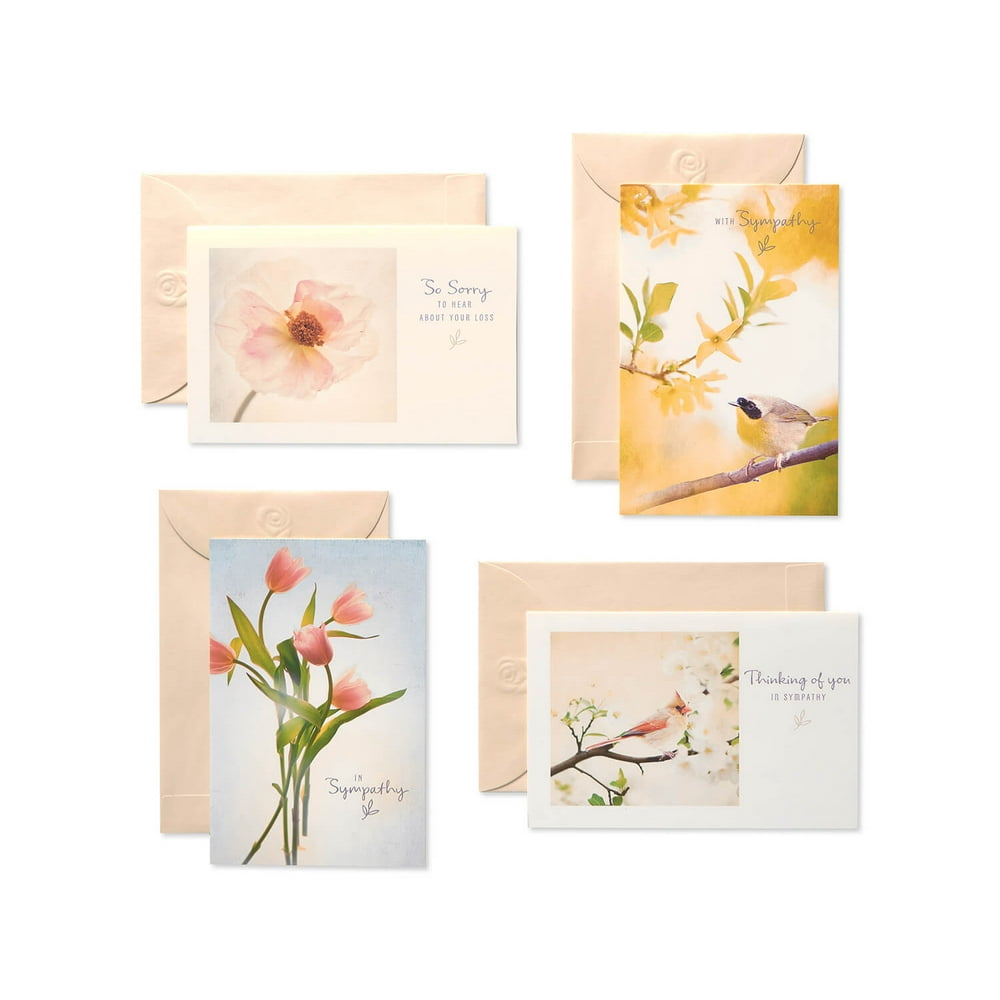 American Greetings Assorted Sympathy Cards, 12Count