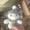 🔥 C_New, variant on Dianli Easter Gifts Plush Toys Mini Bunny Cute Plush Easter Gift Soft Stuffed Bunny Easter Basket Filler Small Decorative Toy for Kids Holiday Tabletop Decor
