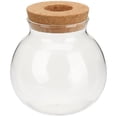 thumbnail image 1 of HLONK Hydroponic Glass Bottle Water Planting Terrarium Tabletop Vase Monstera Pot Potted, 1 of 6