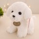 thumbnail image 1 of Juguete de peluche de perro Ted creativo de 20cm, muñeco bonito y suave, regalo de cumpleaños para chico zhangmengya LED, 1 of 2