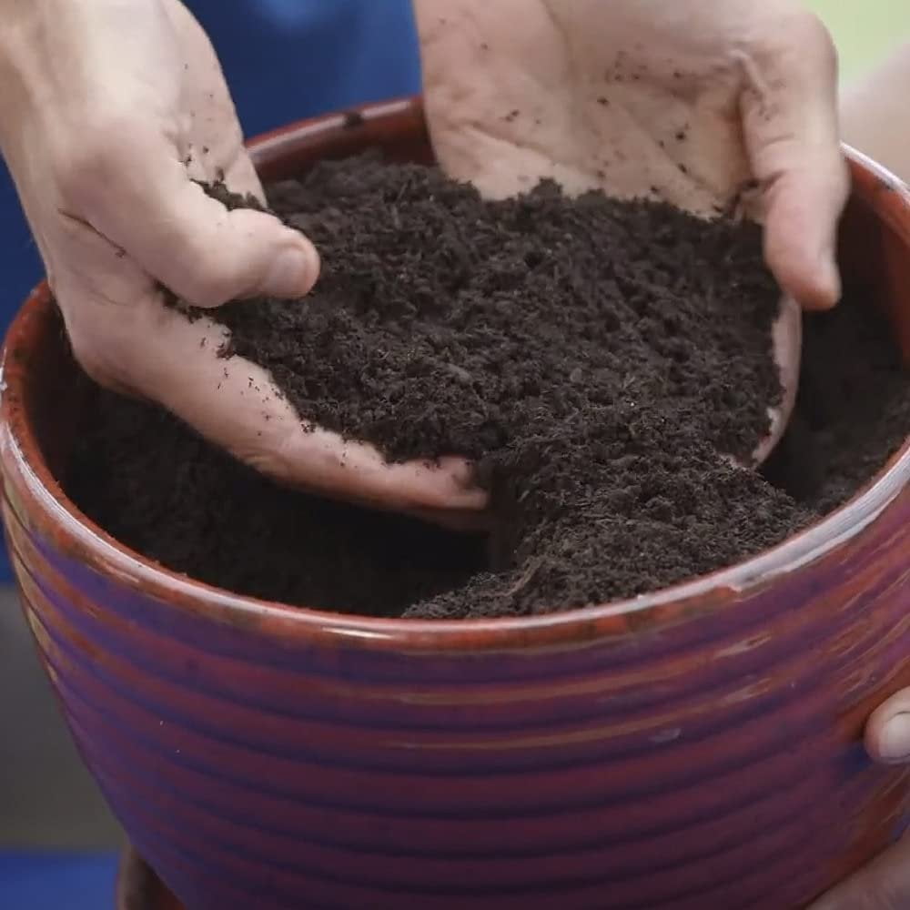 Coast of Maine Monhegan Blend Organic Top Soil, 1 CF, Lightweight Composted Soil