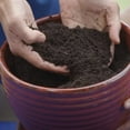thumbnail image 2 of Coast of Maine Monhegan Blend Organic Top Soil, 1 CF, Lightweight Composted Soil, 2 of 3