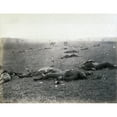 thumbnail image 2 of The Civil War. The Battle Of Gettysburg. Incidents Of The War. A Harvest Of Death History (24 x 18), 2 of 2
