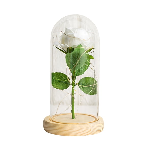 ABODELINE Glass Rose in Glass Dome, Gifts for Women Mom Birthday Gifts, Galaxy Glass Rose Forever Preserved Flowers Light Up Rose in Glass Dome Mothers Day Rose Gifts for Her Wife Daughter Girlfriend