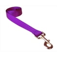 thumbnail image 1 of 4 ft. Nylon Webbing Dog Leash, Purple - Small & Medium, 1 of 1