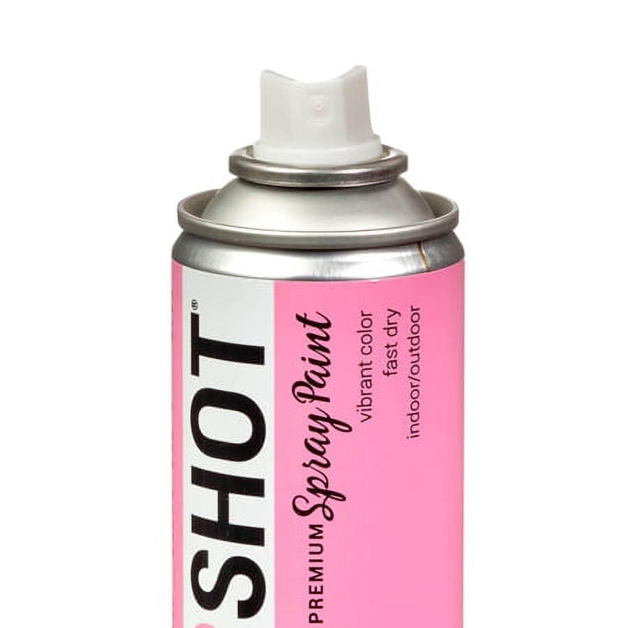 (2 pack) COLORSHOT Premium Multi-Surface Gloss Farmers Daughter Spray Paint - 10 oz - Pink