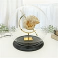 thumbnail image 2 of Plymor 7.5" x 8.5" Glass Display Dome Globe Cloche (Black Wood Veneer Base), Pack of 4, 2 of 2