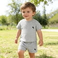 thumbnail image 2 of WhouRiu Boys Casual Embroidery Outfits Short Sleeve Tees And Shorts Sets Baby Summer Cute Clothes, 2 of 9